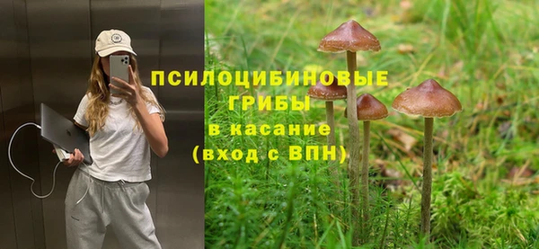 ПСИЛОЦИБИНОВЫЕ ГРИБЫ Нефтегорск