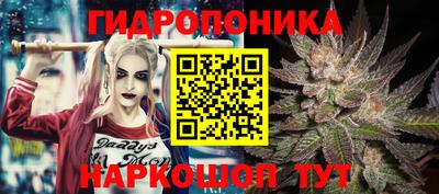кокс Гусь-Хрустальный
