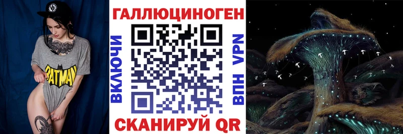 Галлюциногенные грибы мицелий  Вологда 