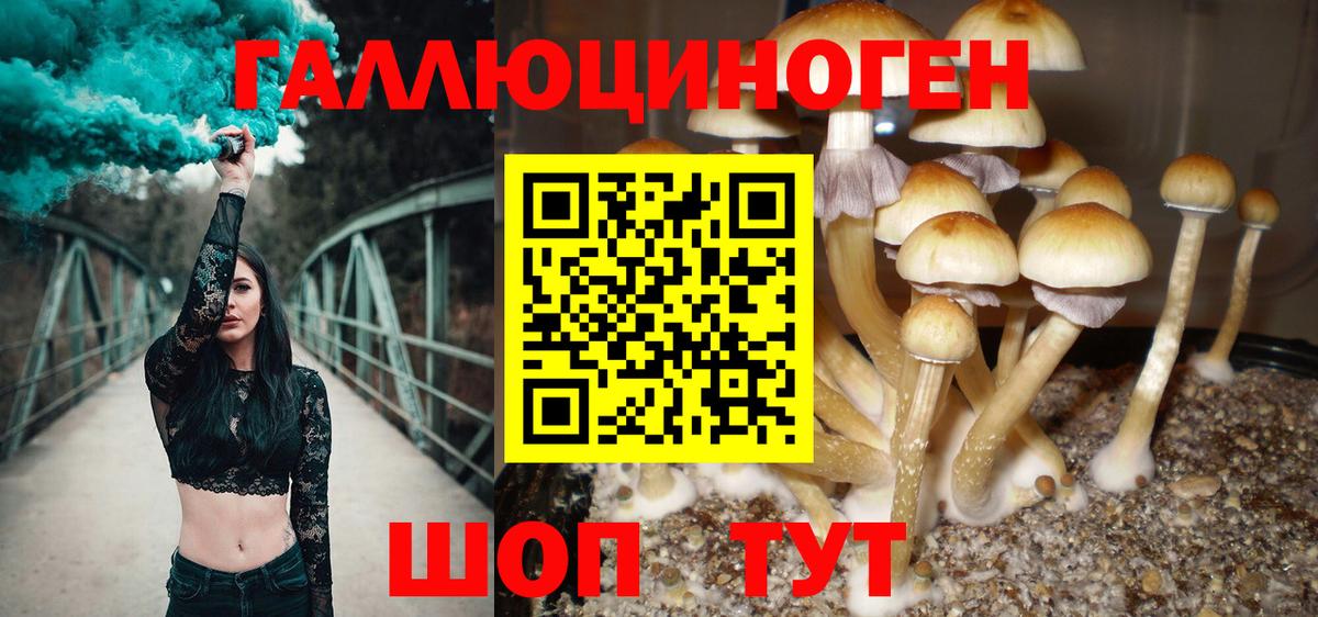 Галлюциногенные грибы Cubensis Вологда