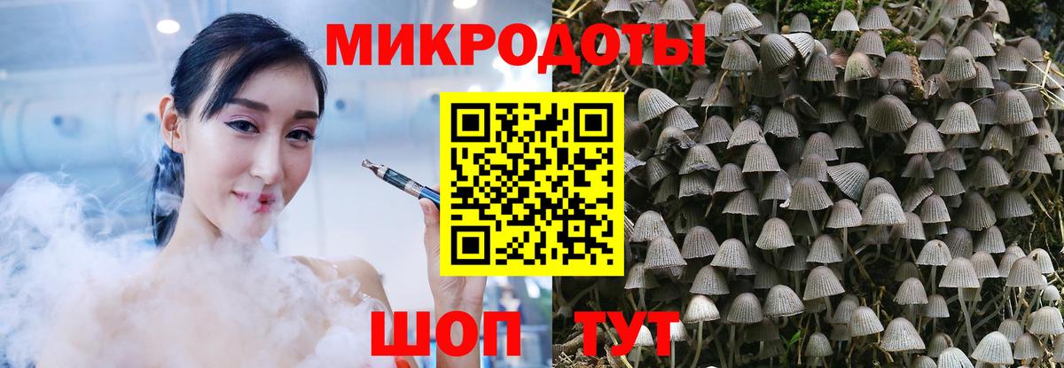 наркошоп  Псилоцибиновые грибы мухоморы  Вход с VPN  Вологда 