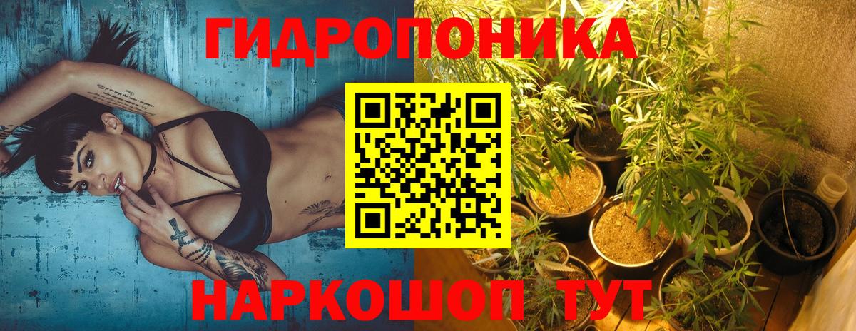 Каннабис LSD WEED Вологда